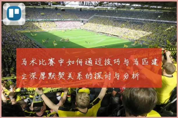 马术比赛中如何通过技巧与马匹建立深厚默契关系的探讨与分析